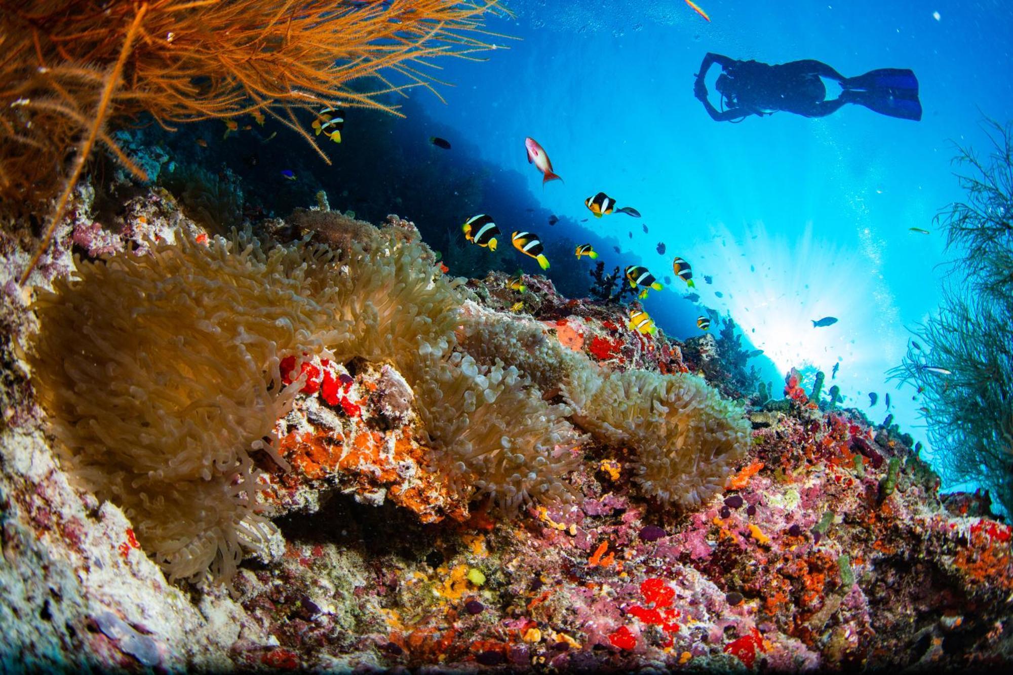 Noku Maldives, Vignette Collection By Ihg, 50 Percent Off Shared Roundtrip Seaplane Transport When You Stay 4 Nights Or More Stay Period Until 23 Dec 2025 (Adults Only) Kudafunafaru מראה חיצוני תמונה